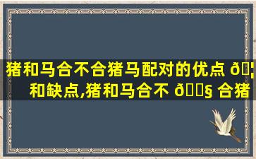 猪和马合不合猪马配对的优点 🦅 和缺点,猪和马合不 🐧 合猪马配对的优点和缺点有哪些